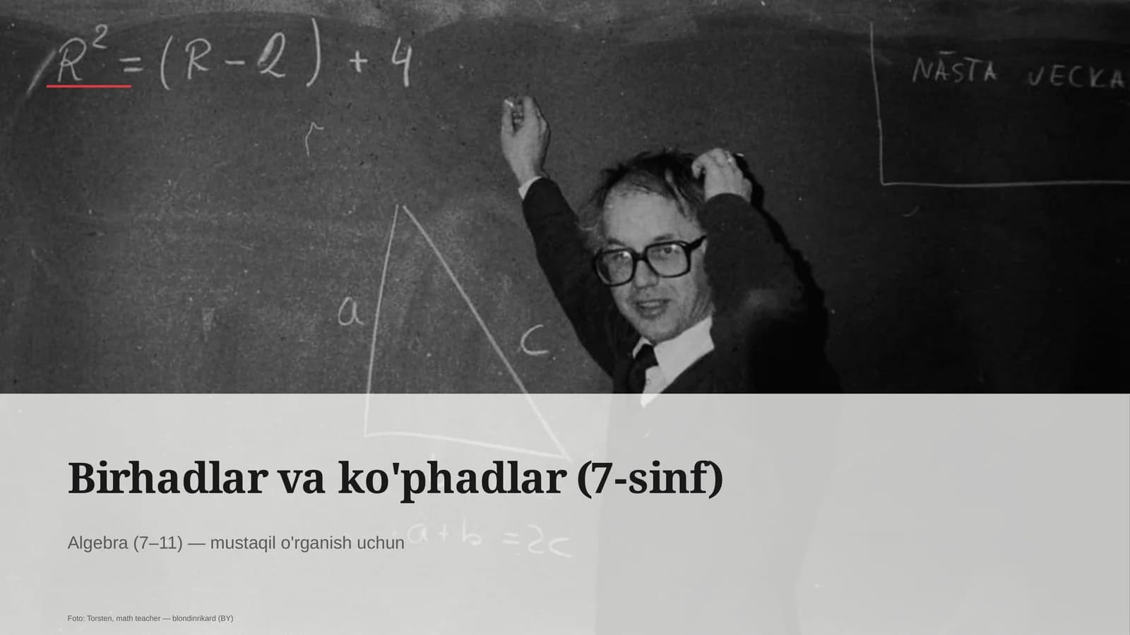 Birhadlar va ko'phadlar (7-sinf)