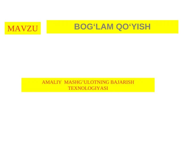 AMALIY MASHG’ULOTNING BAJARISH TEXNOLOGIYASI
