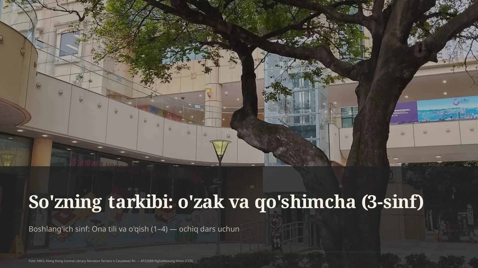 So'zning tarkibi: o'zak va qo'shimcha (3-sinf)