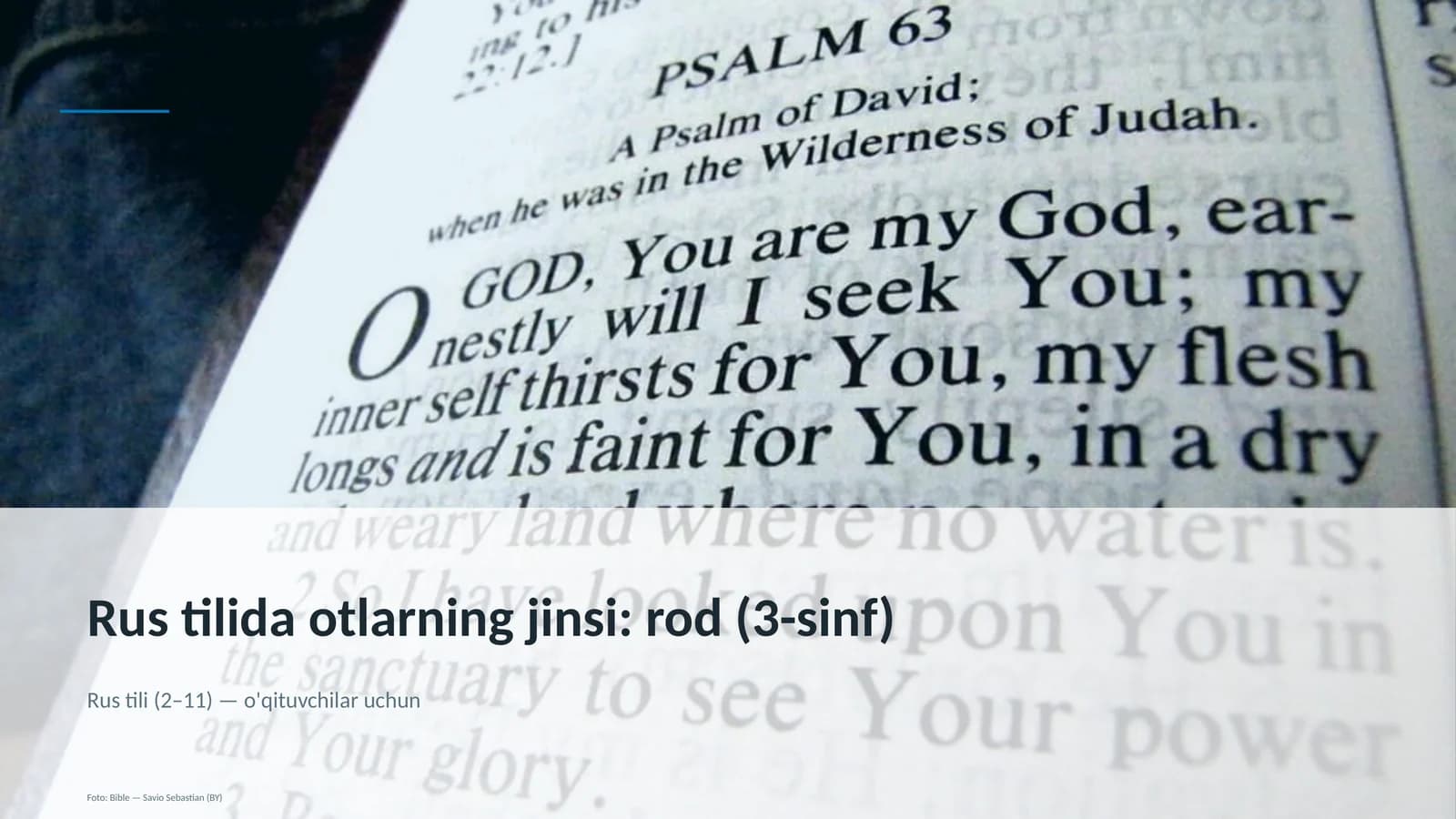 Rus tilida otlarning jinsi: rod (3-sinf)