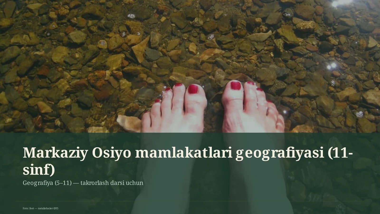 Markaziy Osiyo mamlakatlari geografiyasi (11-sinf)