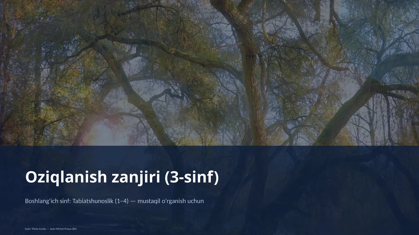 Oziqlanish zanjiri (3-sinf)