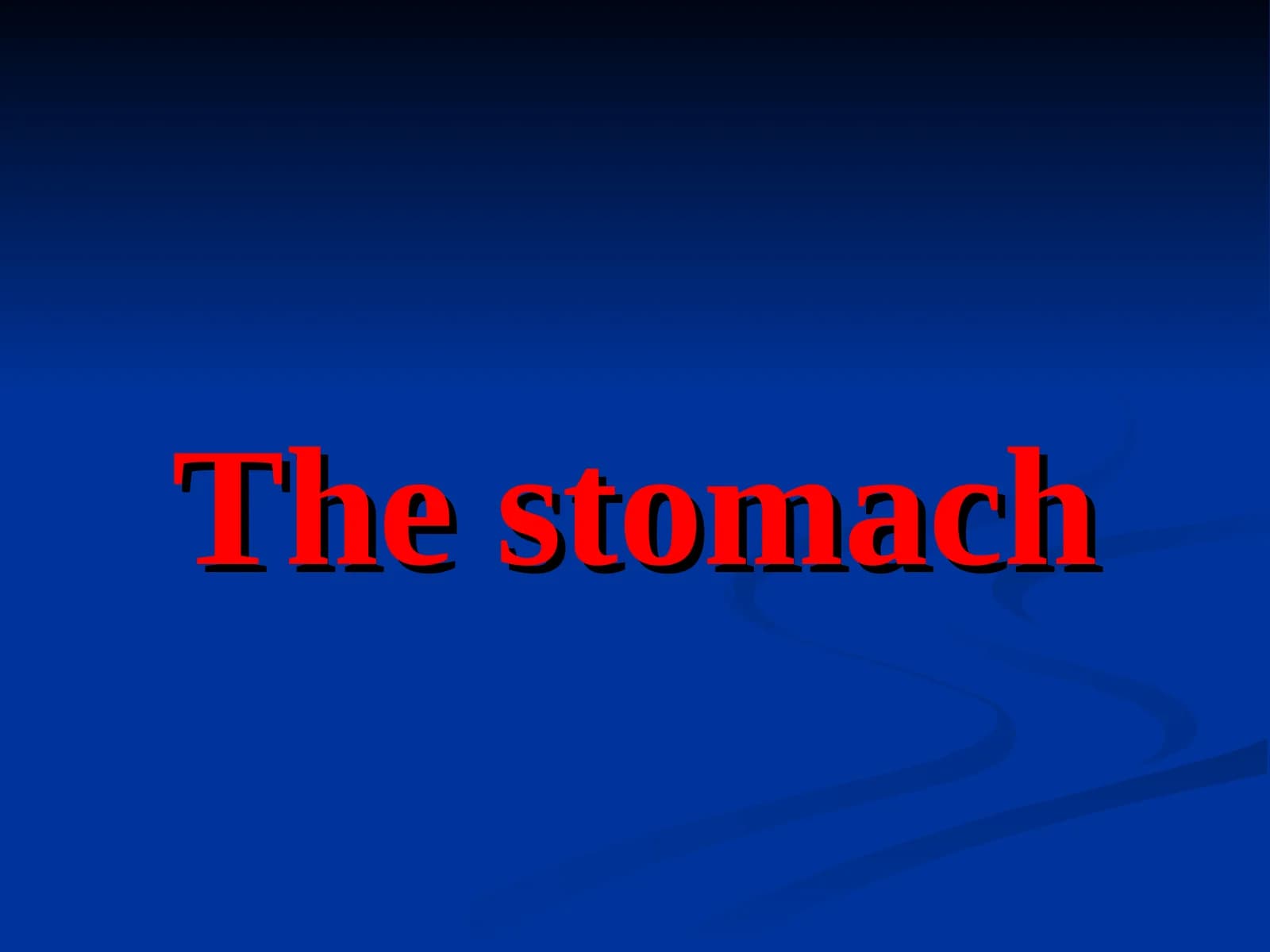 The stomach