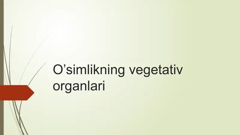 Vegetativ organlar