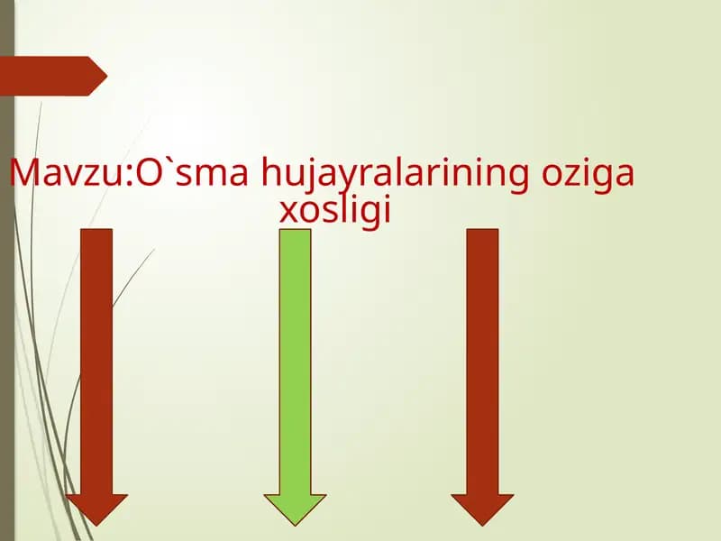 O`smahujayralarining ozigaxosligi