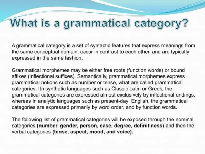 Grammatical Categories