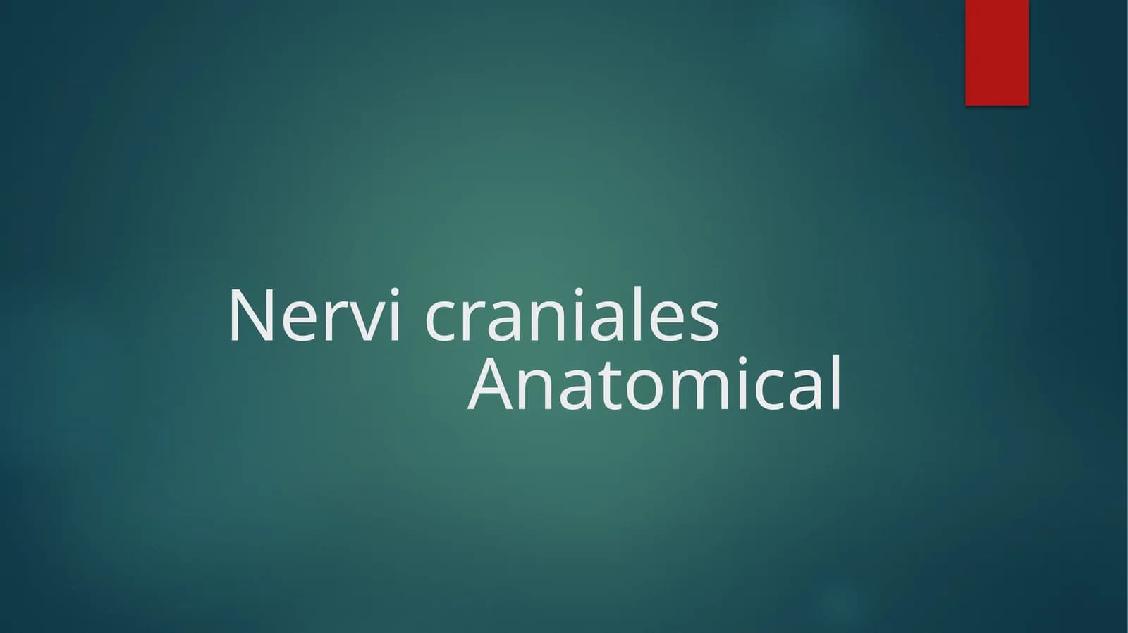 Nervic raniales Anatomical