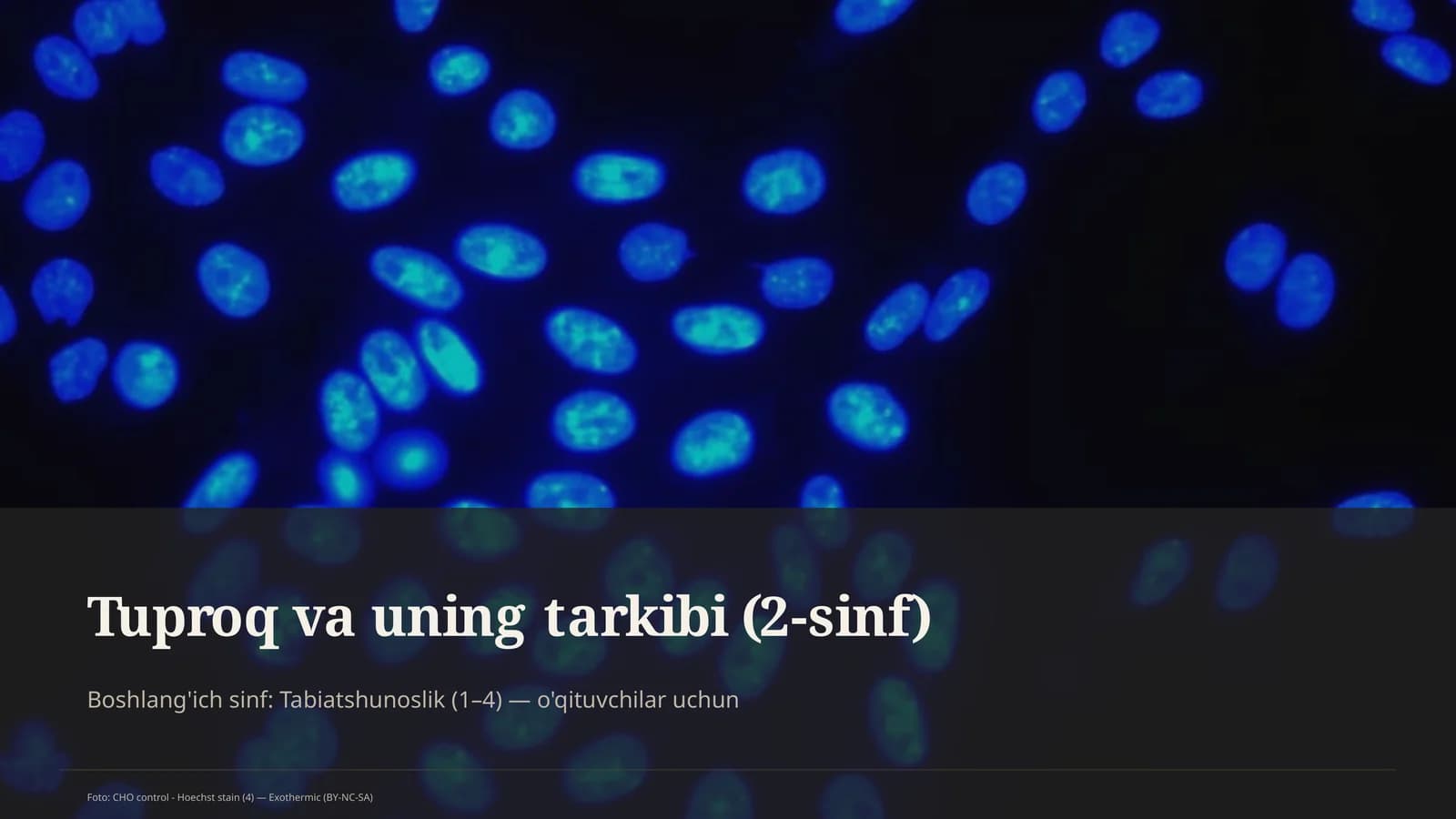 Tuproq va uning tarkibi (2-sinf)