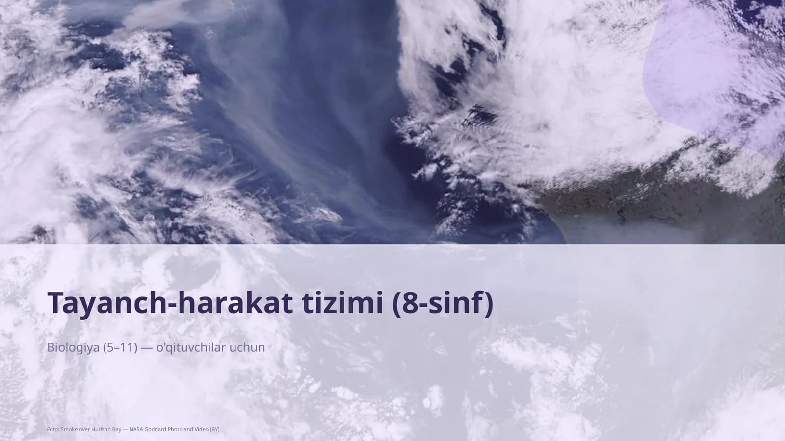 Tayanch-harakat tizimi (8-sinf)
