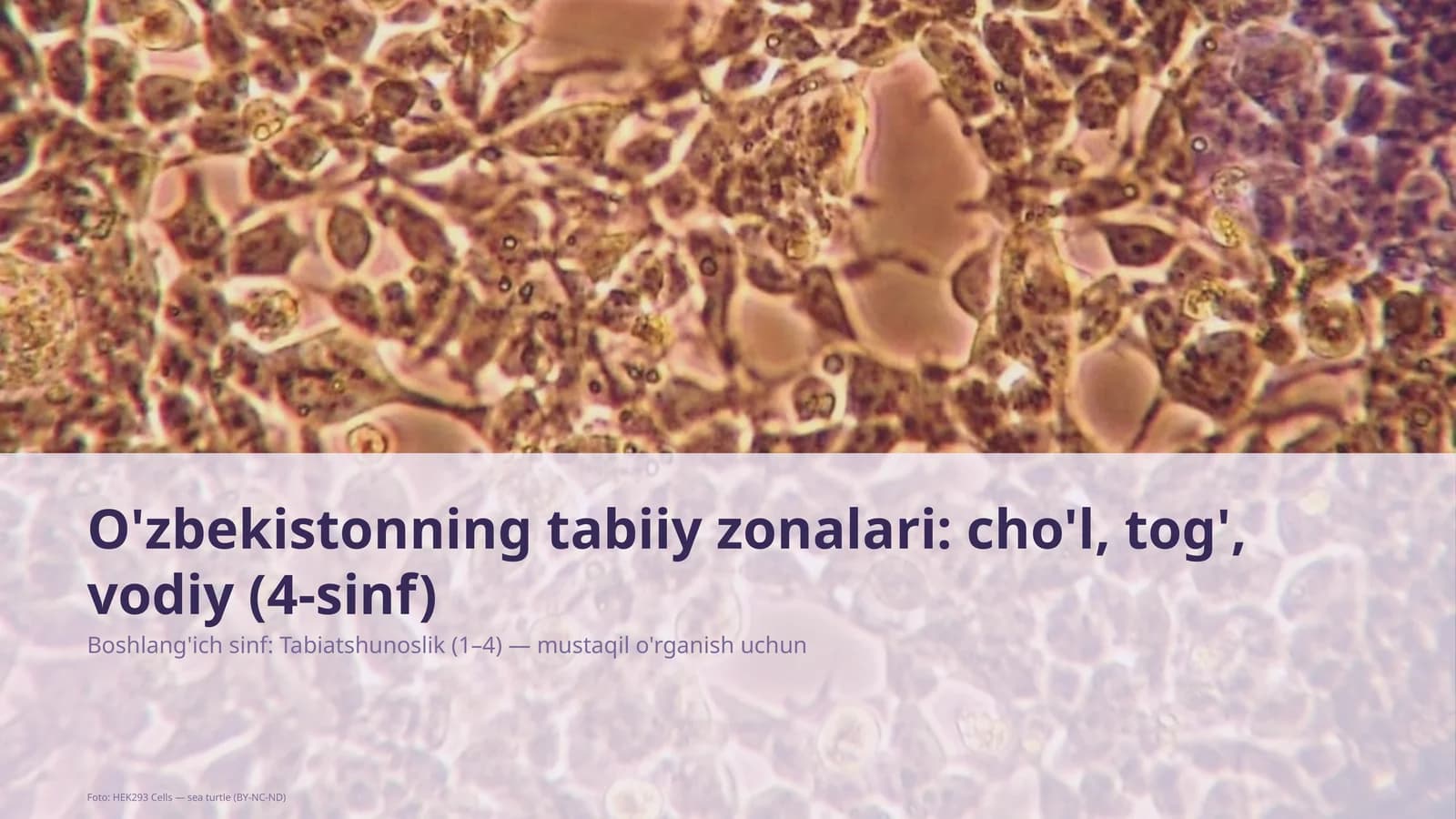 O'zbekistonning tabiiy zonalari: cho'l, tog', vodiy (4-sinf)
