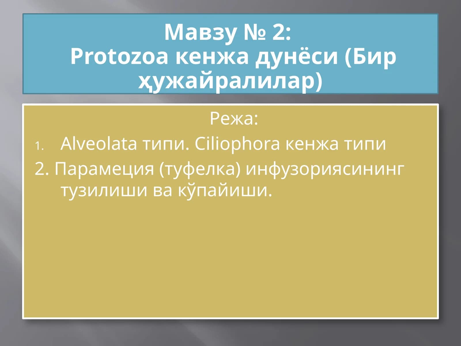 Protozoa кенжа дунёси (Бир ҳужайралилар)