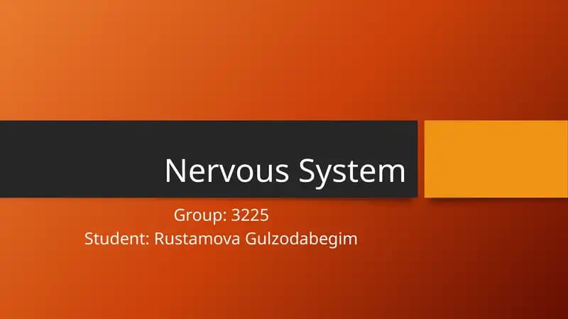 Nervous System
