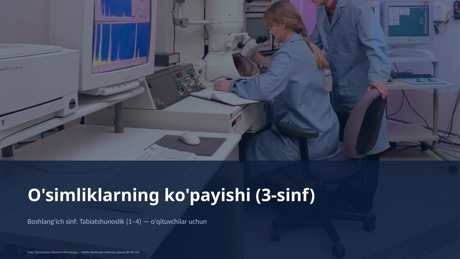 O'simliklarning ko'payishi (3-sinf)