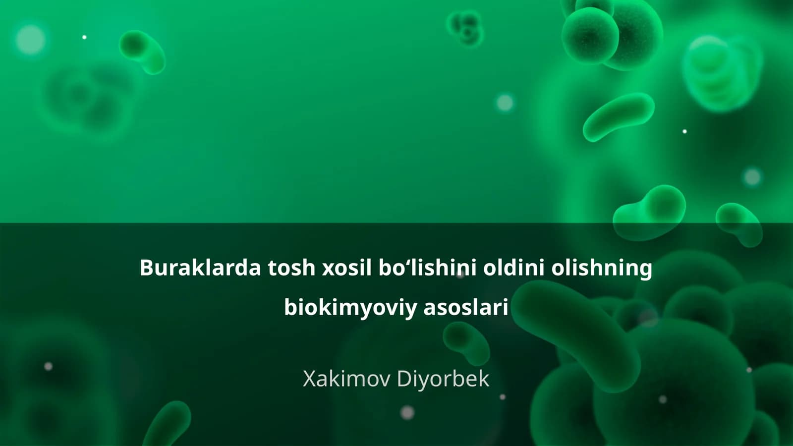 Buraklarda tosh xosil boʻlishini oldini olishning biokimyoviy asoslari