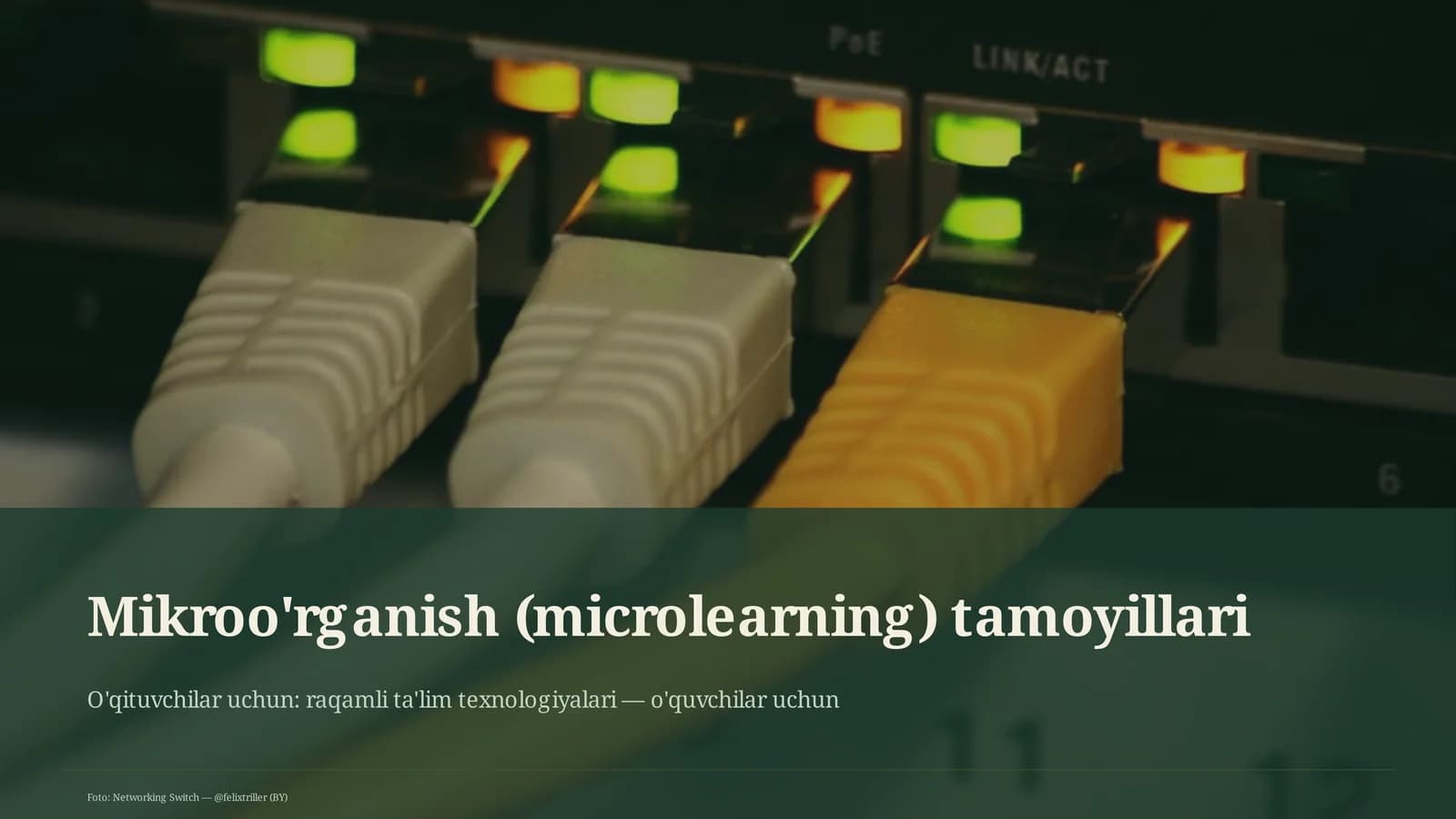 Mikroo'rganish (microlearning) tamoyillari