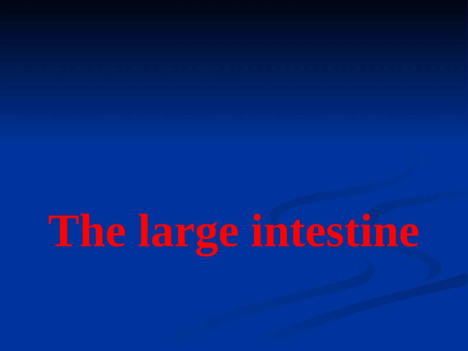 The large intestine
