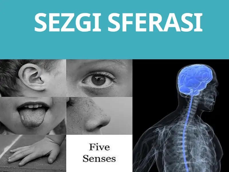 SEZGI SFERASI