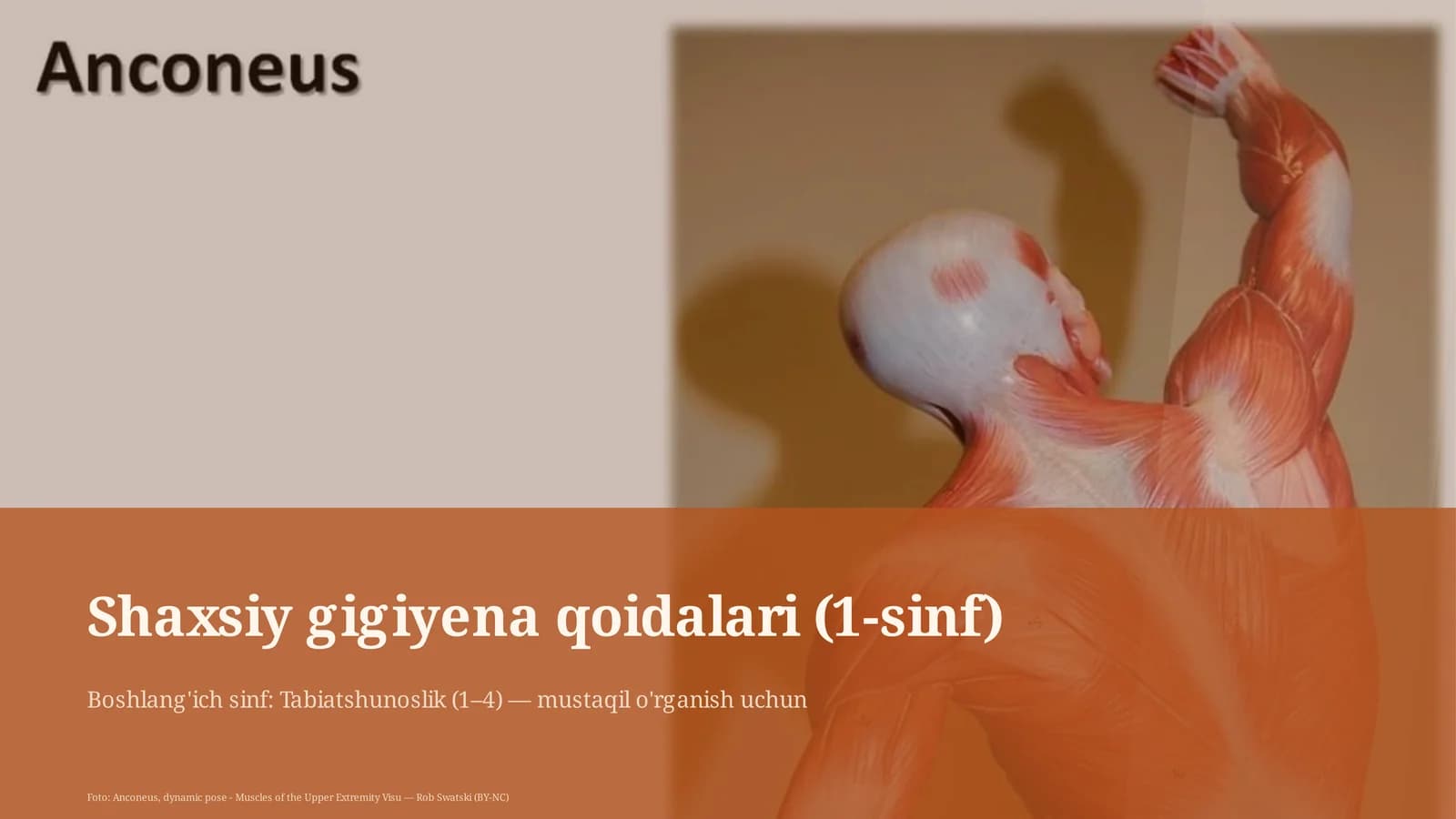 Shaxsiy gigiyena qoidalari (1-sinf)