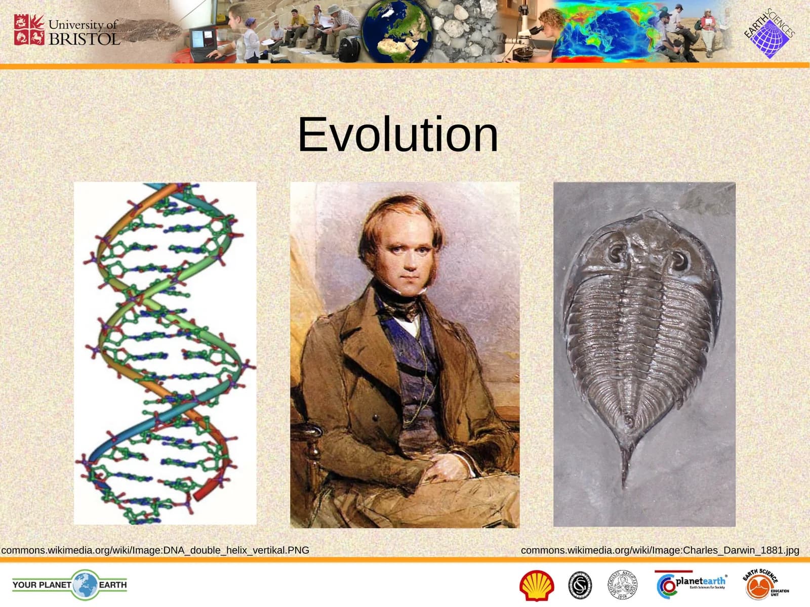 Evolution