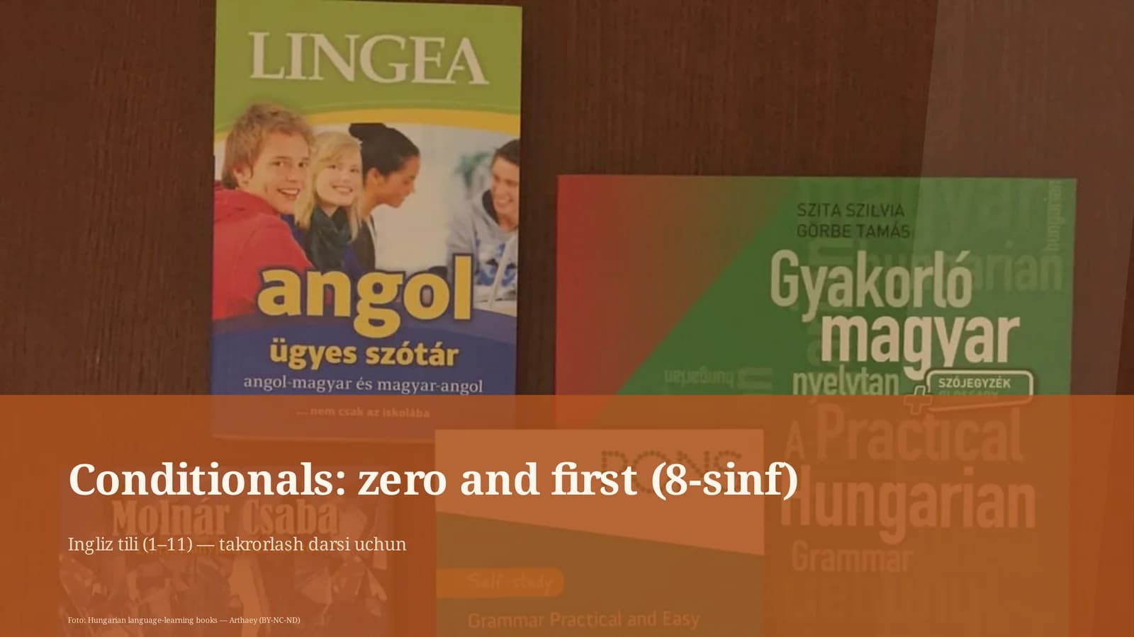 Conditionals: zero and first (8-sinf)