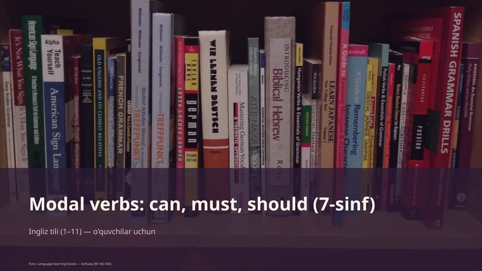 Modal verbs: can, must, should (7-sinf)