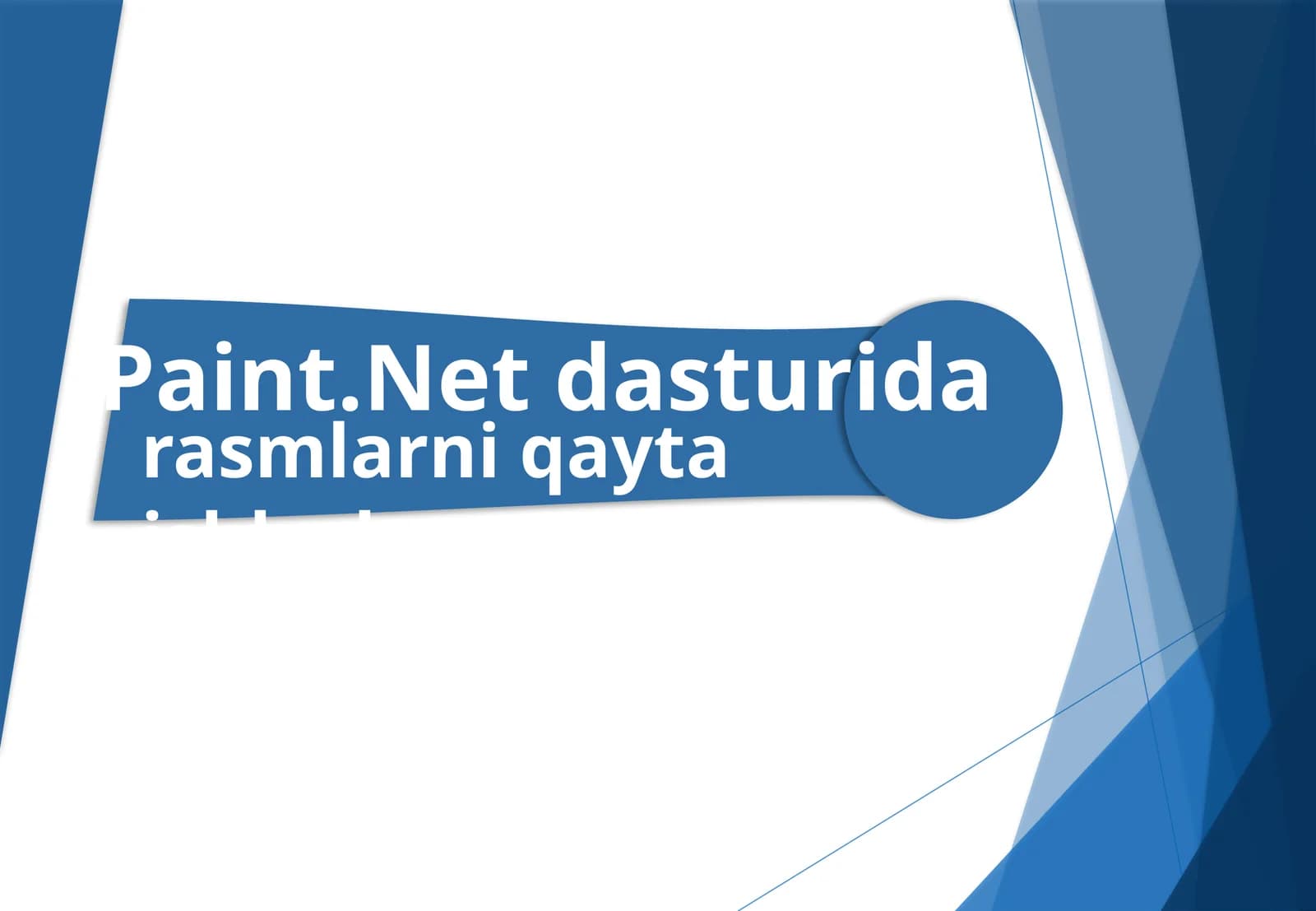 Paint.Netdasturida