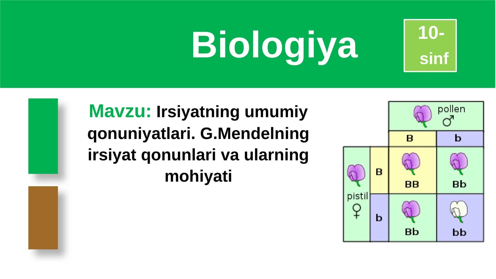 Irsiyatning umumiy qonuniyatlari. G. Mendelning irsiyat qonunlari va ularning mohiyati