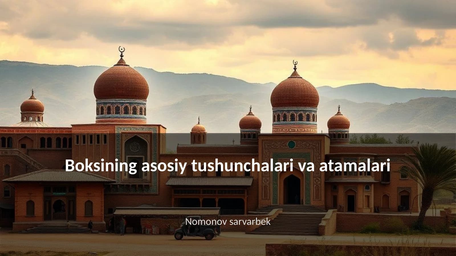 Boksining asosiy tushunchalari va atamalari