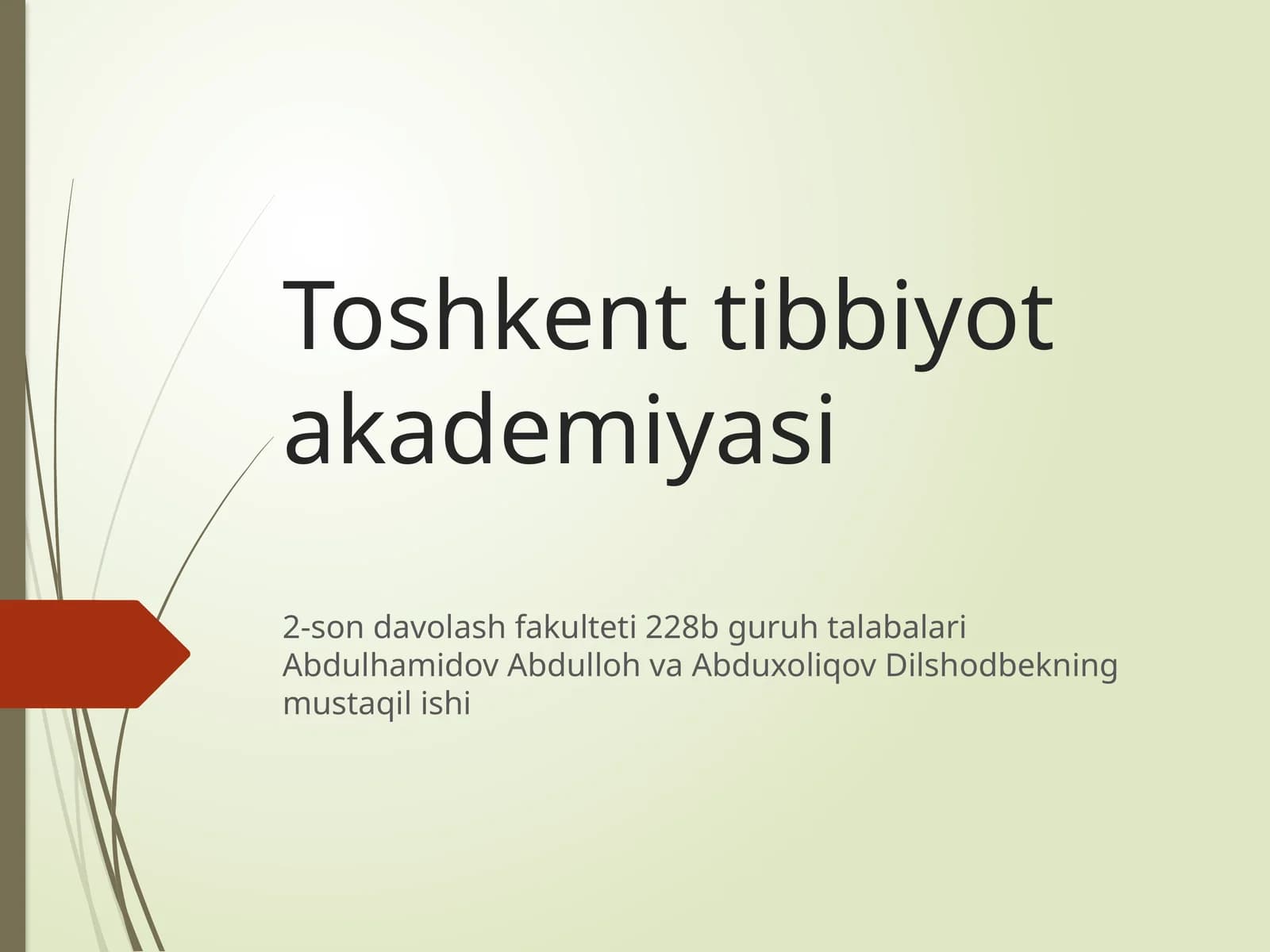 2-son davolash fakulteti 228B guruh talabalari