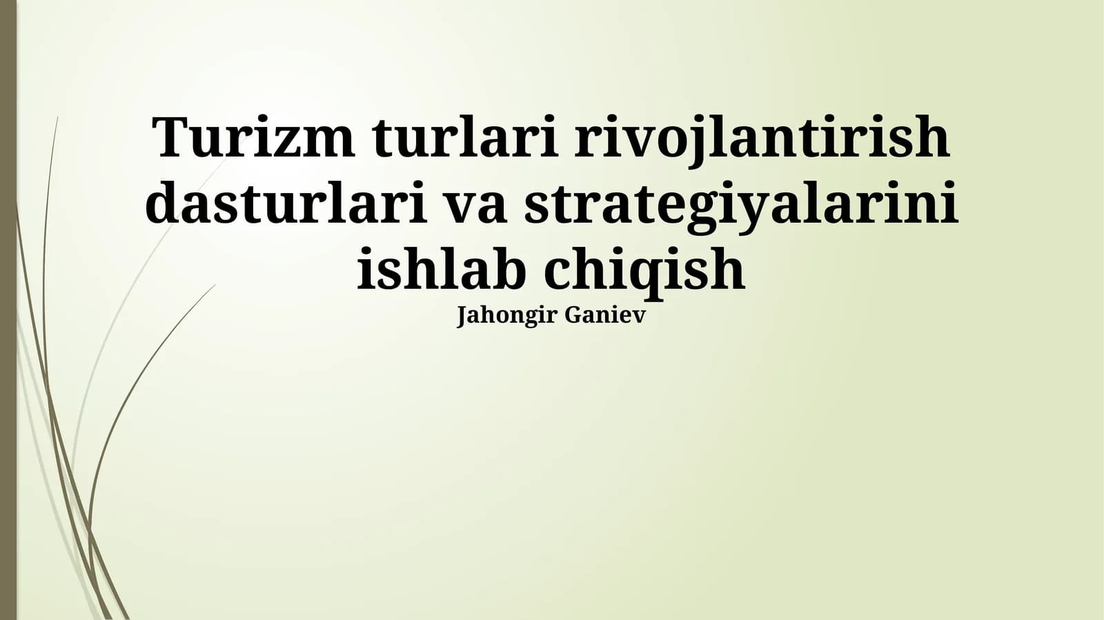 Turizm turlari rivojlantirish dasturlari va strategiyalari