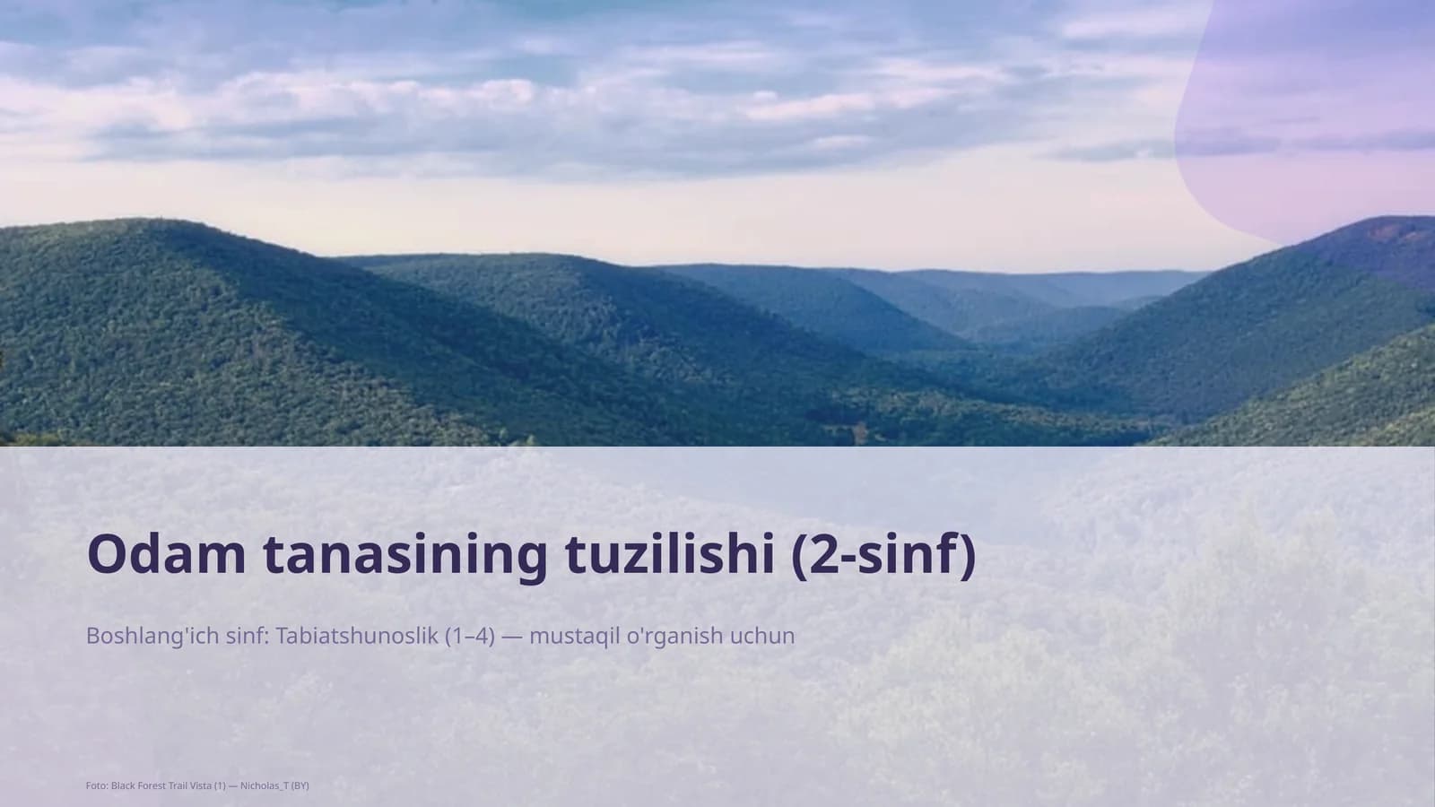 Odman tanasining tuzilishi (2-sinf)