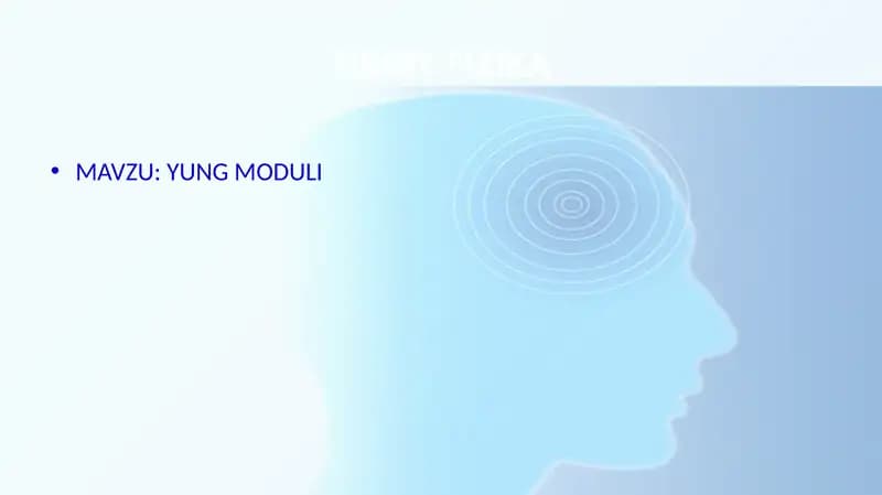 YUNG MODULI