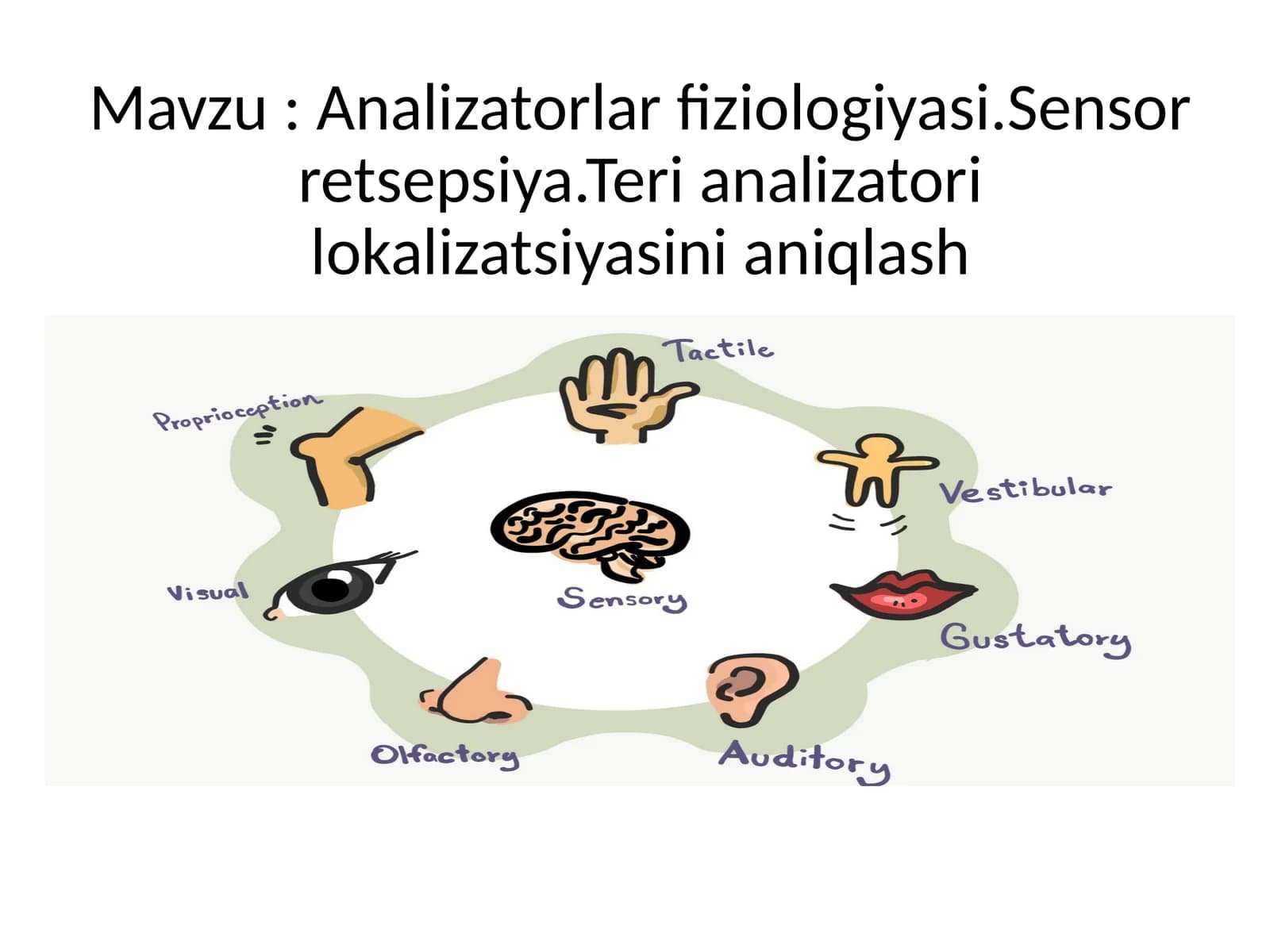 Analizatorlar fiziologiyasi. Sensor retsepsiya. Teri analizatorining lokalizatsiyasini aniqlash