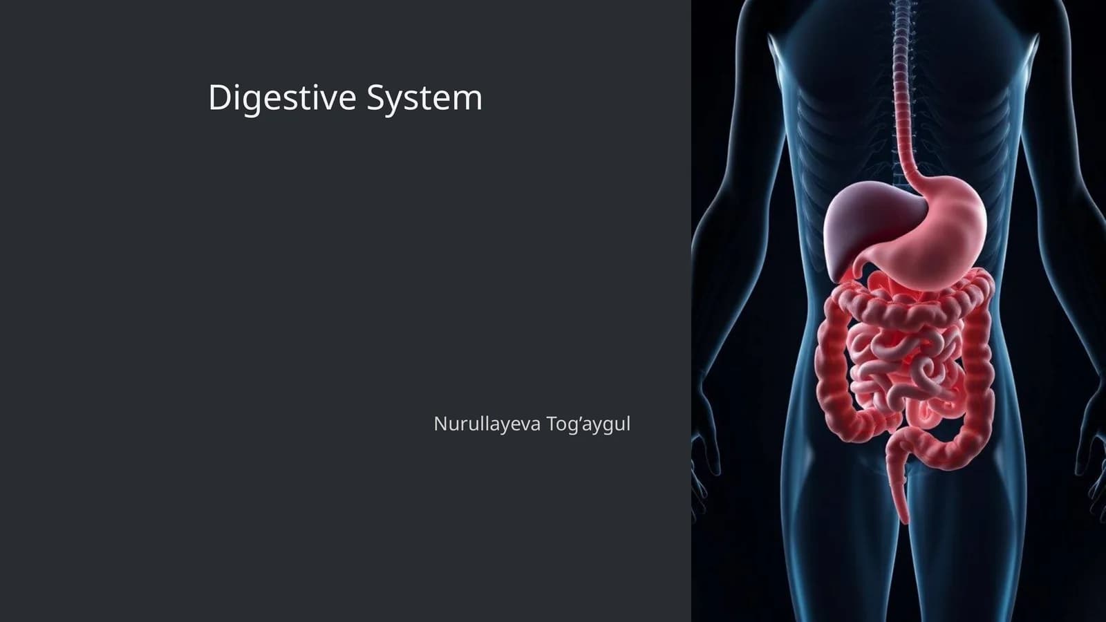 Digestive System