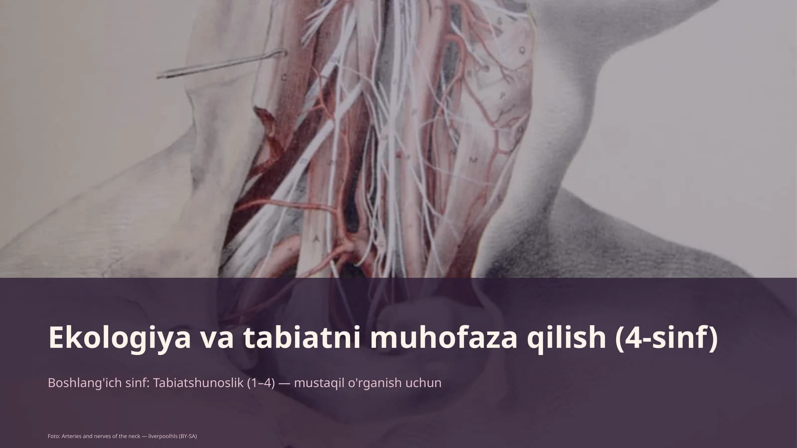 Ekologiya va tabiatni muhofaza qilish (4-sinf)