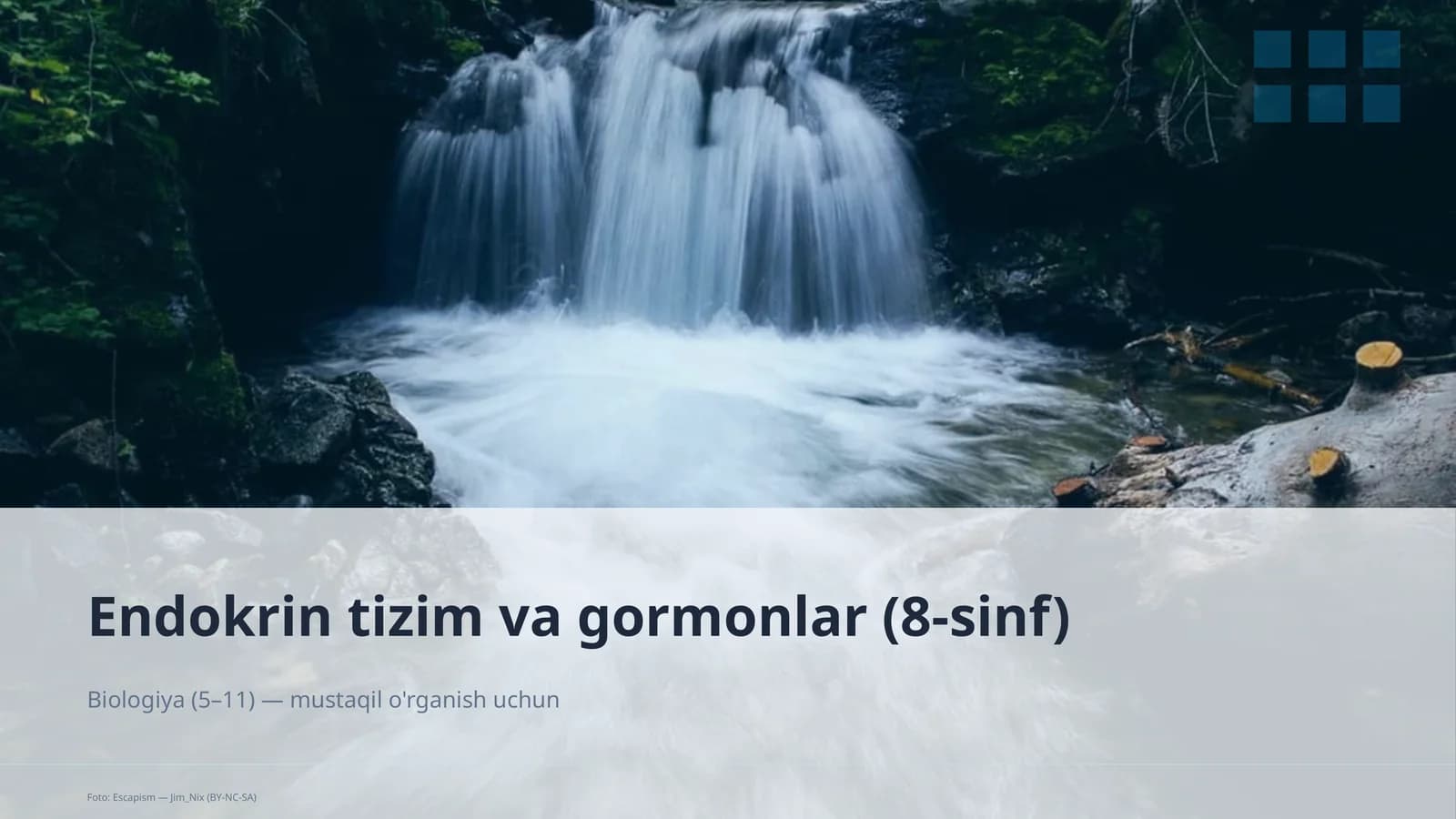 Endokrin tizim va gormonlar (8-sinf)