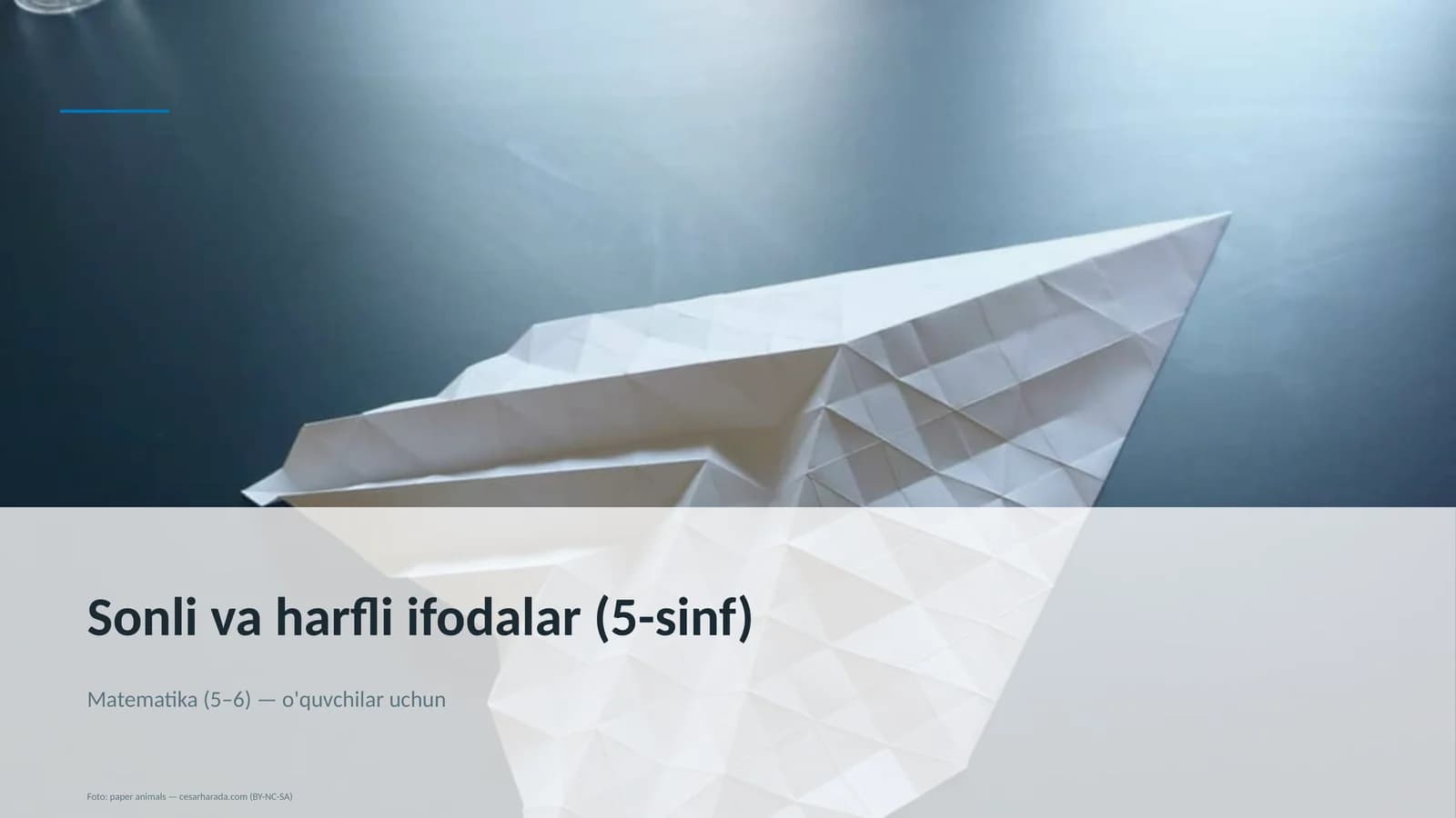Sonli va harfli ifodalar (5-sinf)