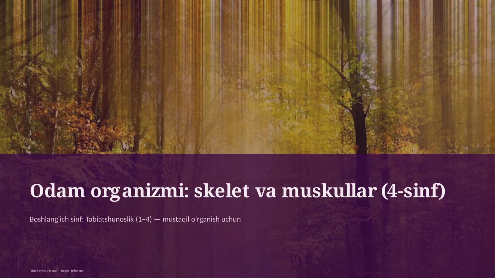 Odam organizmi: skelet va muskullar (4-sinf)