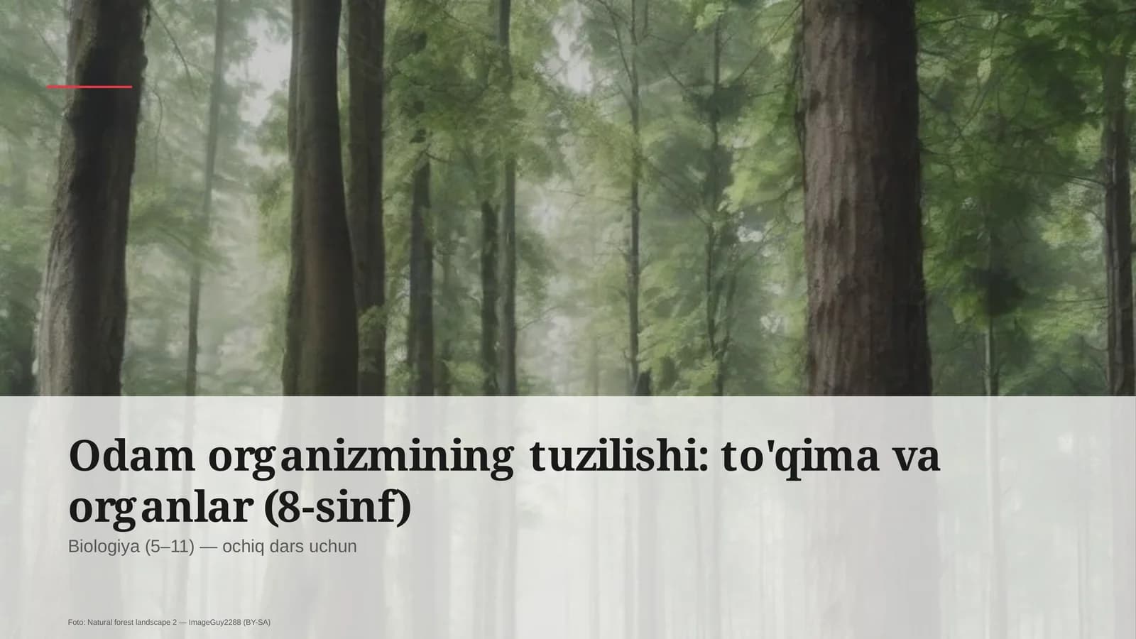 Odam organizmining tuzilishi: to'qima va organlar (8-sinf)