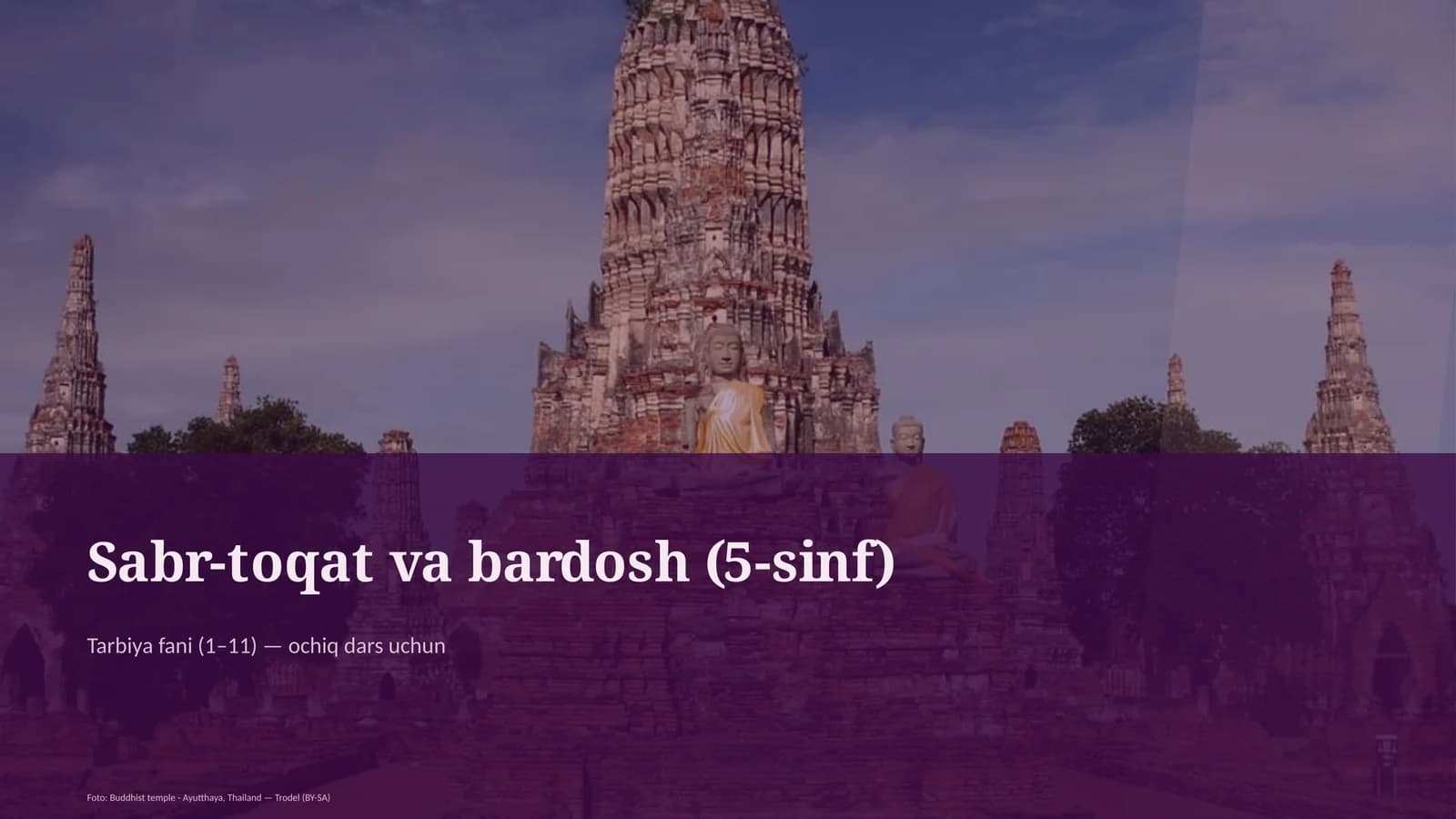 Sabr-toqat va bardosh (5-sinf)