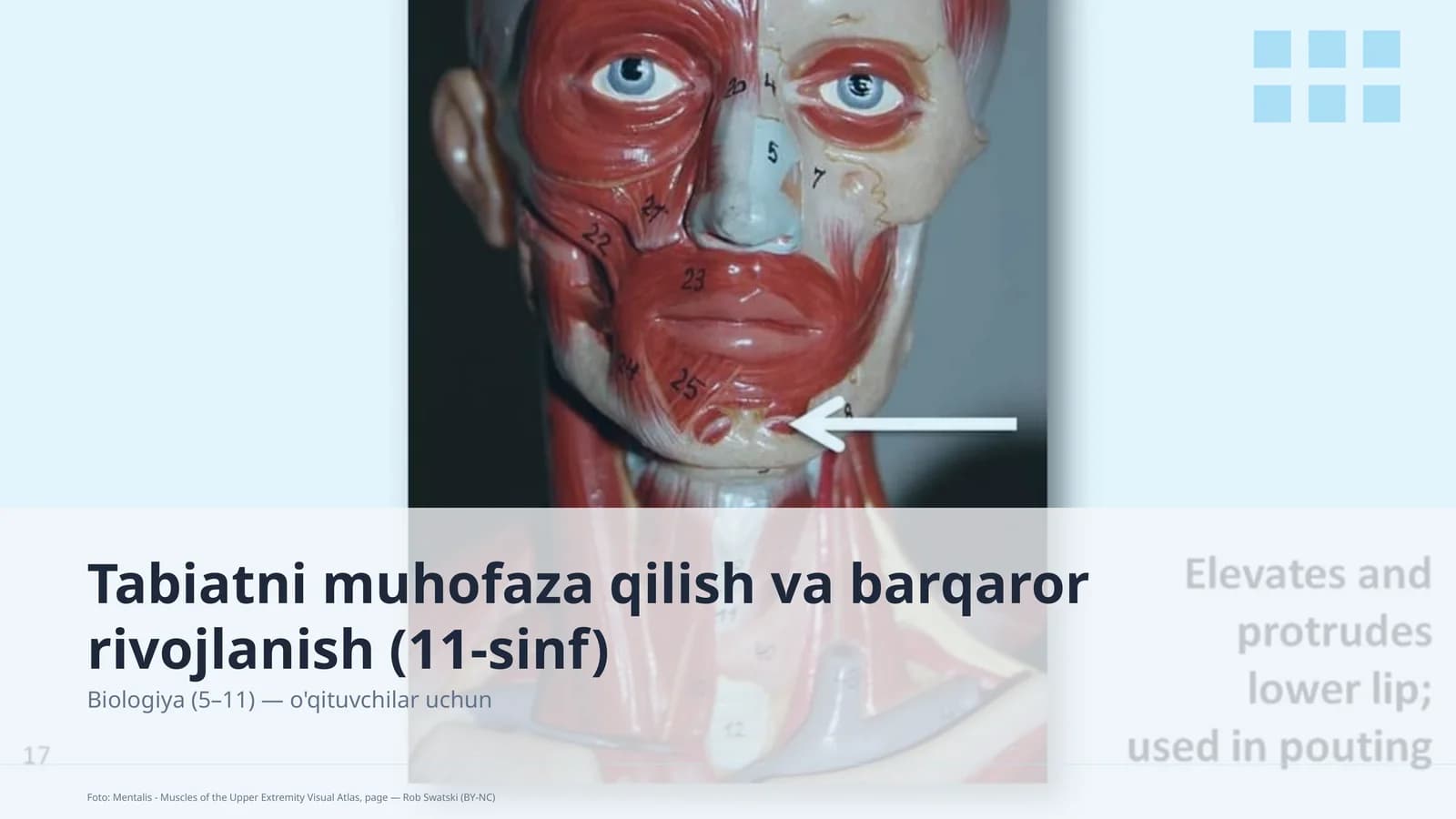 Tabiatni muhofaza qilish va barqaror rivojlanish (11-sinf)