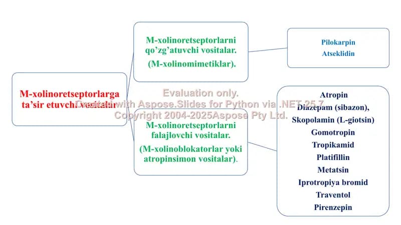 M- xolinergik va antixolinesteraz dori vositalar farmakologiyasi. Ko'rgazma, 8 bet.