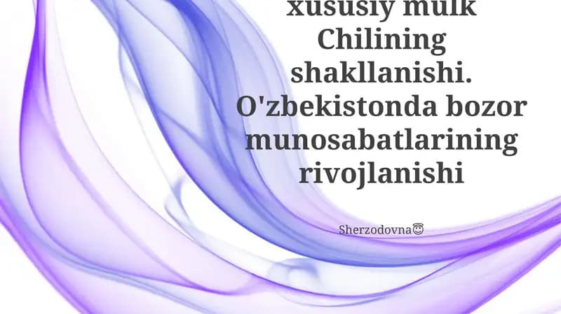Chiliyadagi Xususiy Mulkiy: Iqtisodiy Islohotlarning Merosxoʻri