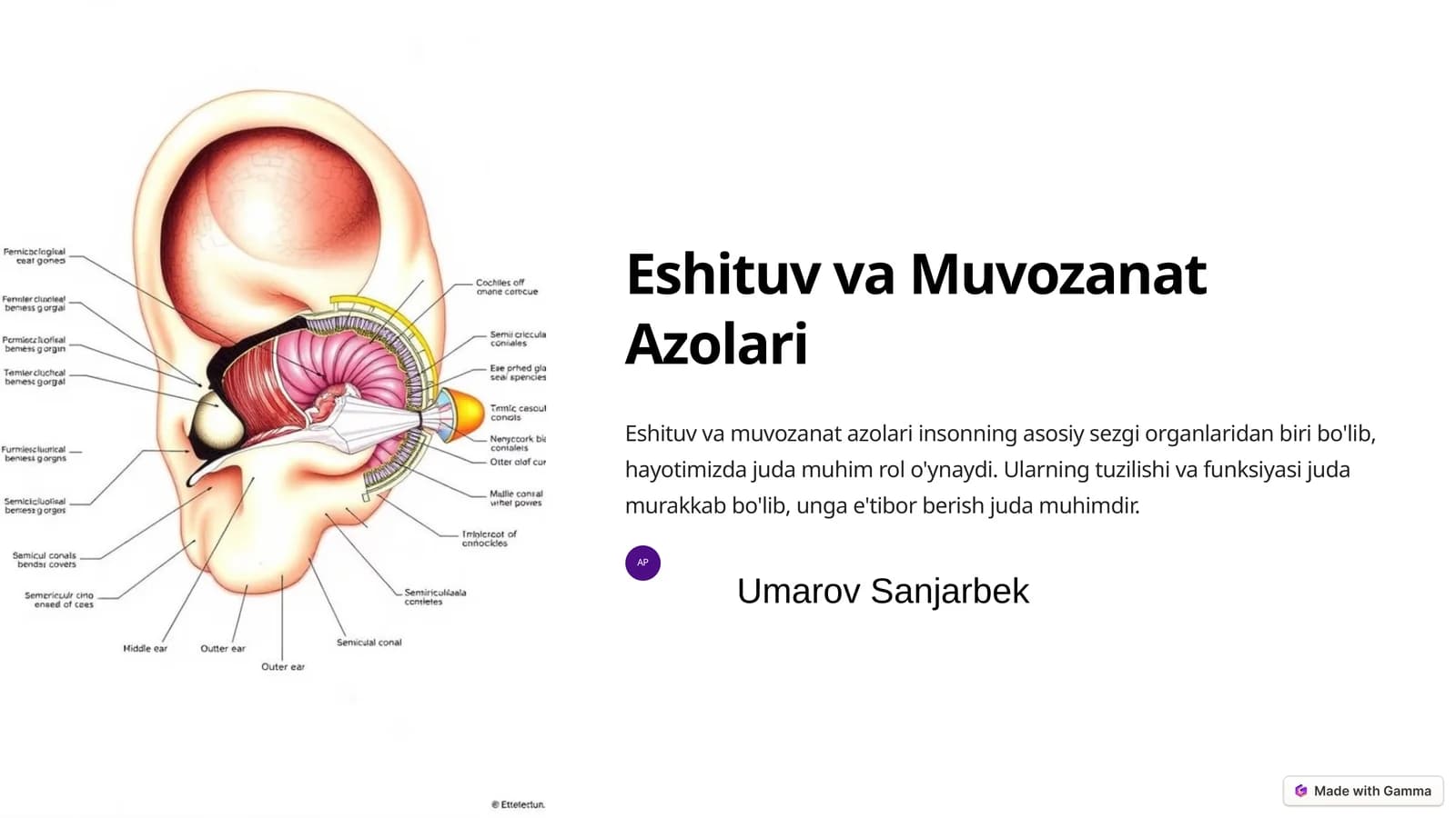 Eshituv va Muvozanat Azolari