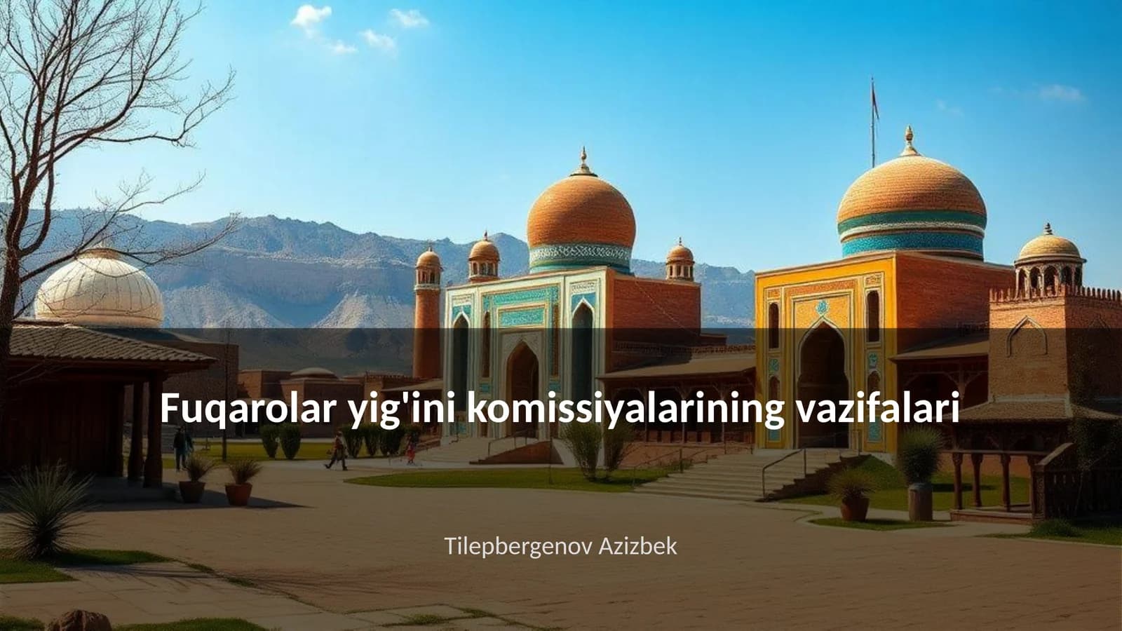 Fuqarolar yig'ini komissiyalarining vazifalari