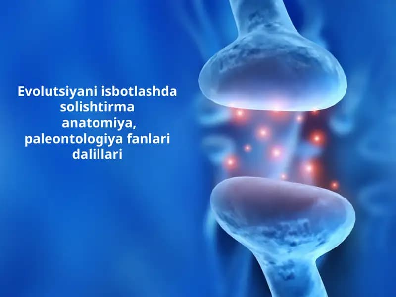 Evolutsiyani Isbotlashda Solishtirmaanatomiya
