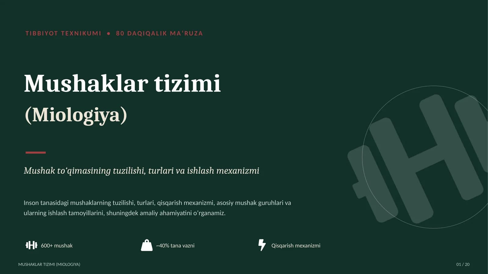 Mushaklar tizimi (Miologiya)