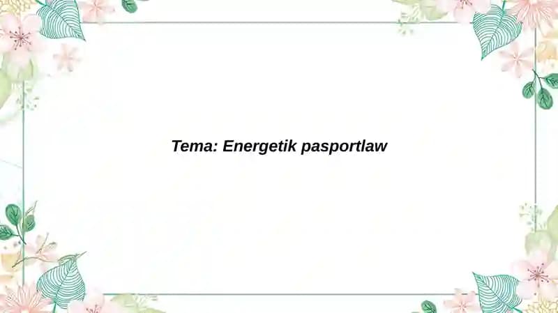 Energetik Pasport