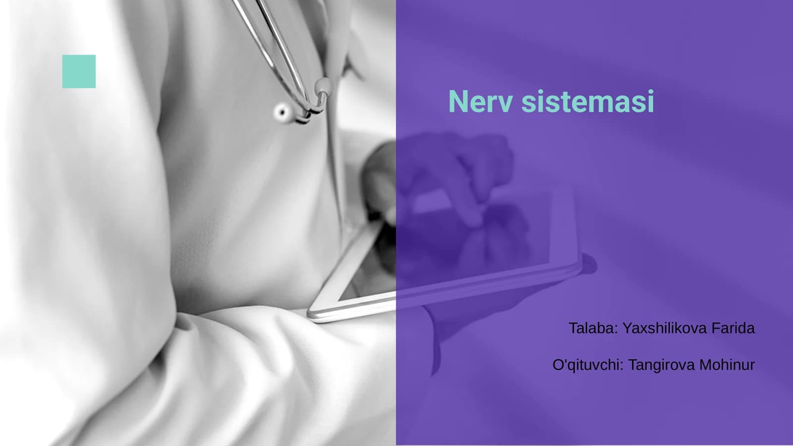 Nerv sistemasi