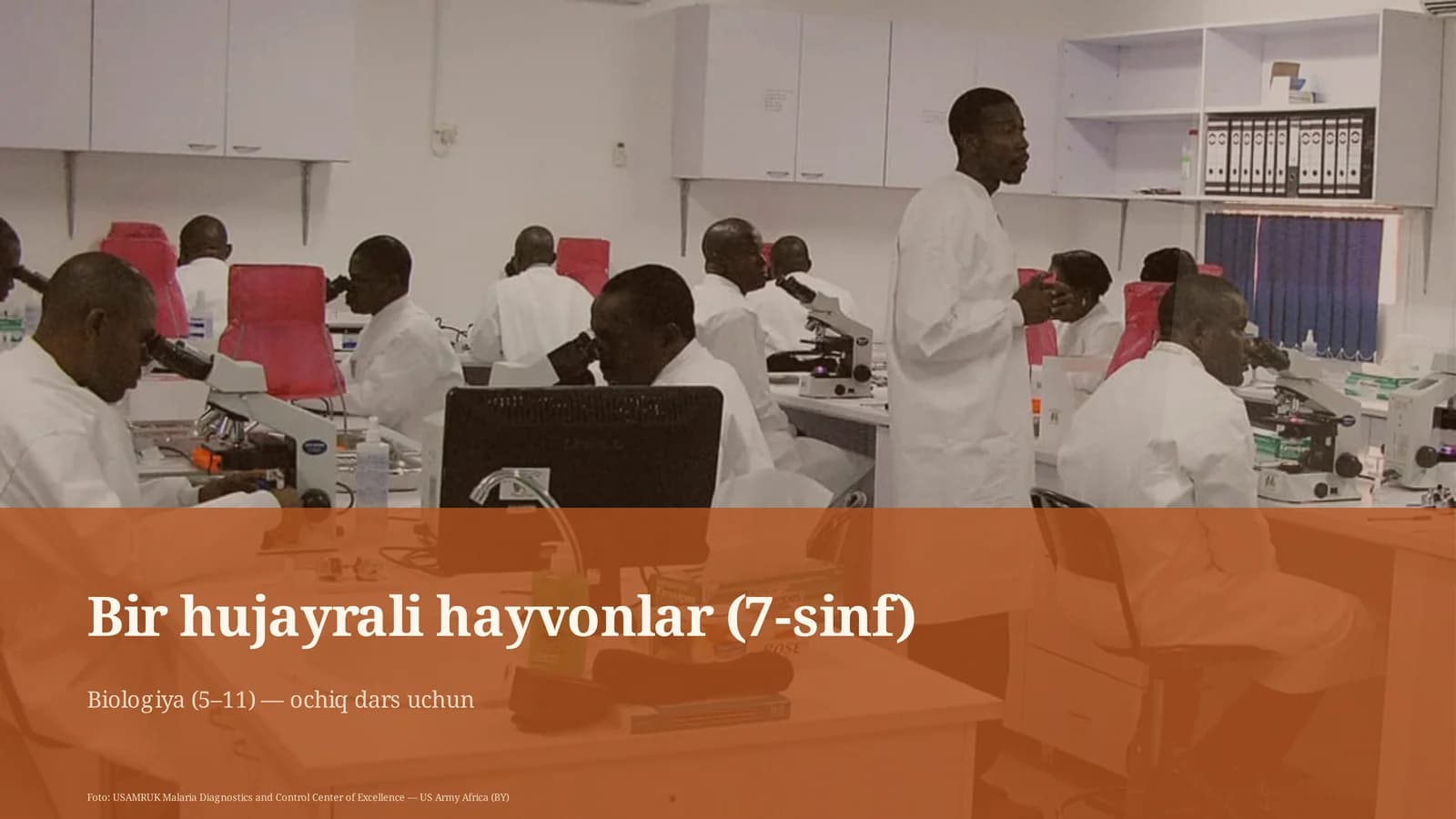 Bir hujayrali hayvonlar (7-sinf)